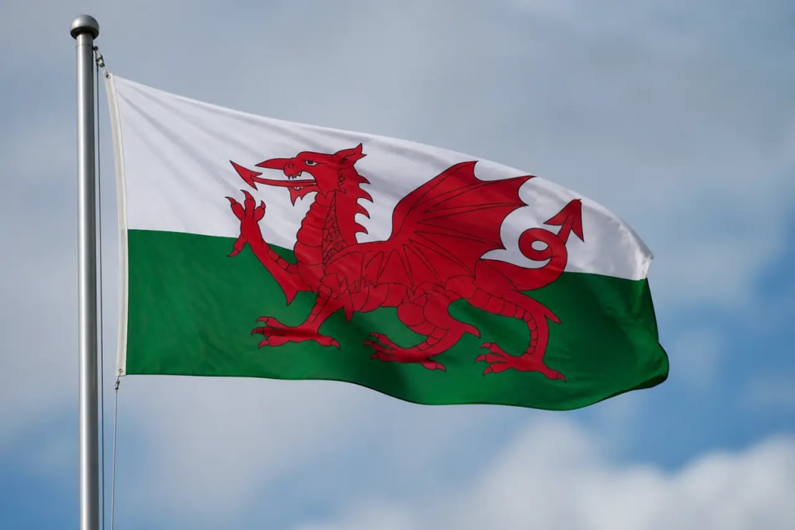 Drapeau du pays de Galles avec dragon rouge sur fond blanc et vert